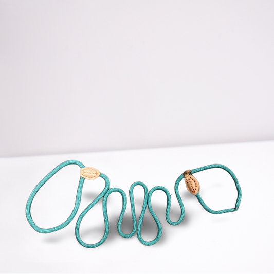 Puppyriem met verstelbare vaste halsband