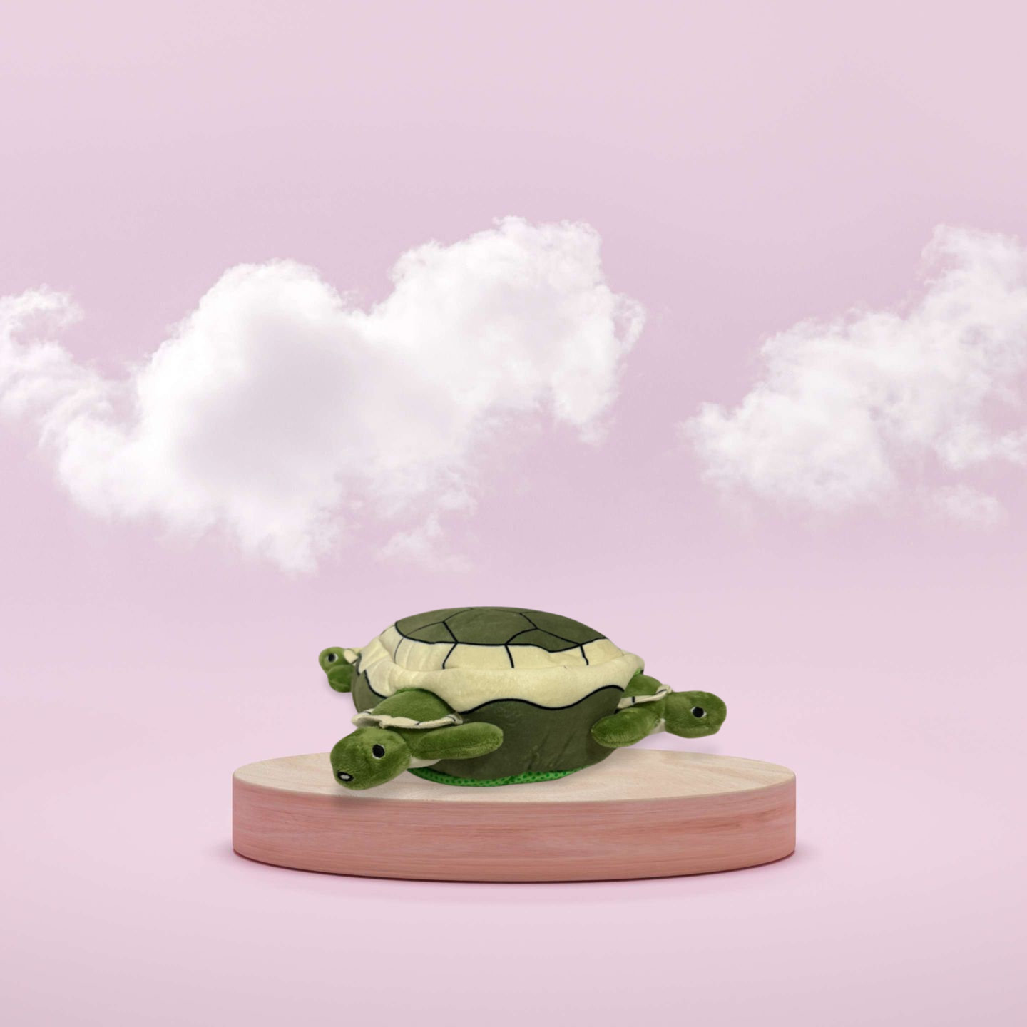 Hondenspeelgoed turtle