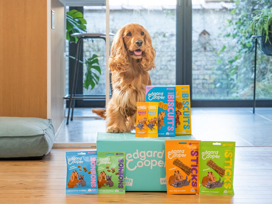 Edgard & Cooper - Biscuit Salmon