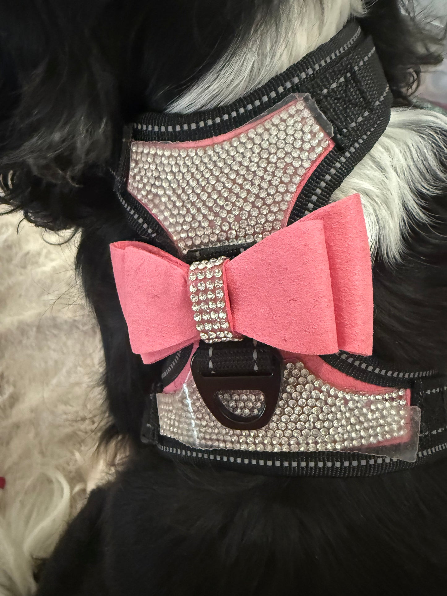 Honden tuigje met strass