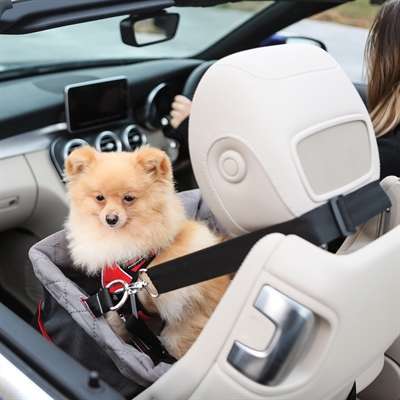 KONG ULTIMATE BOOSTER AUTOSTOEL HONDEN