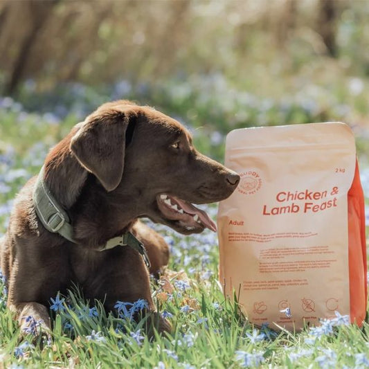 BUDDY - Chicken + Lamb Feast