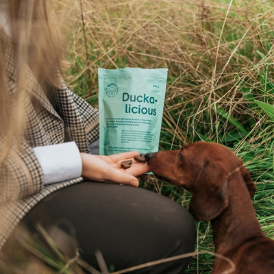 BUDDY - Semi-Moist Snack Duck with Rosemary