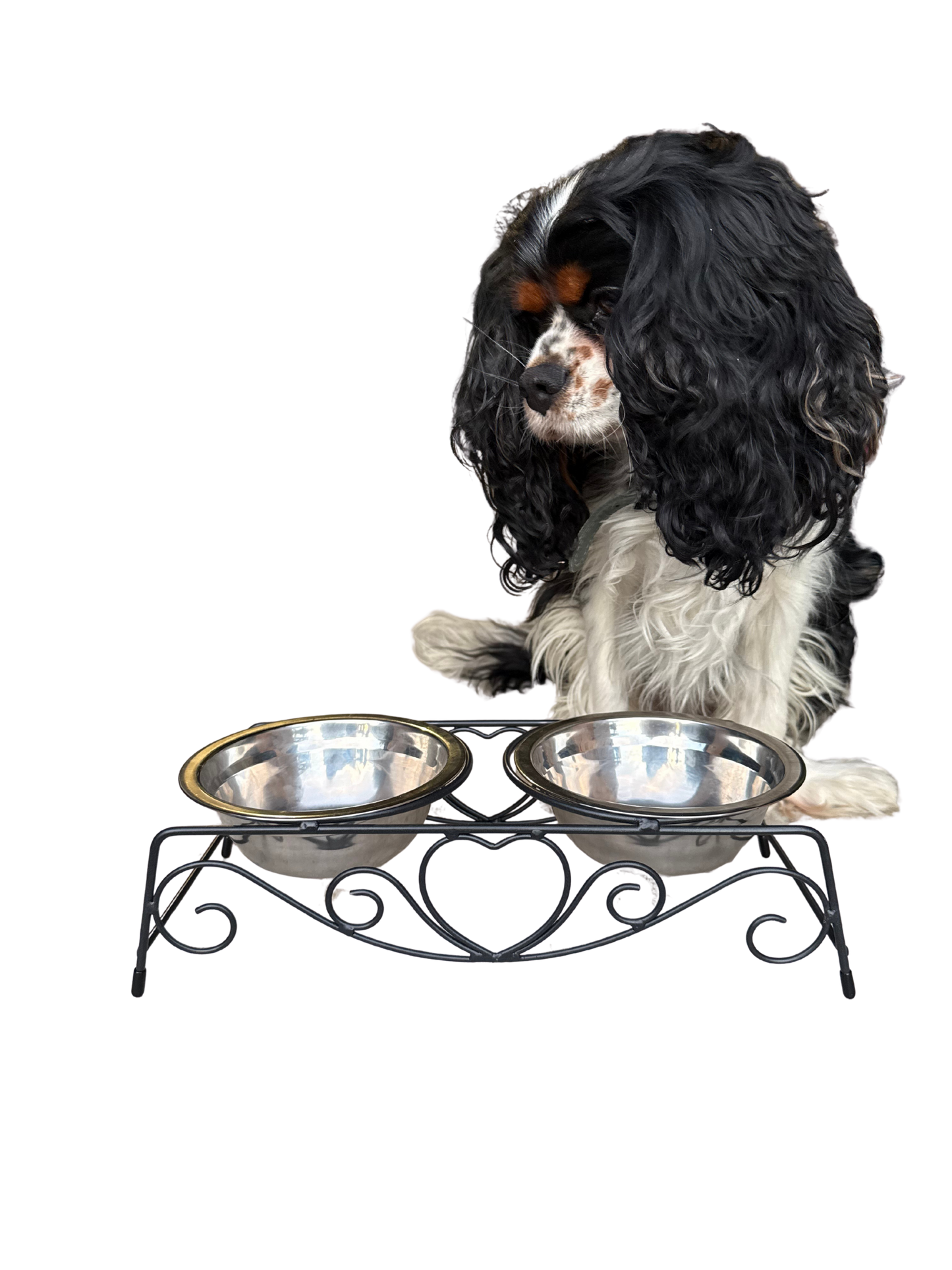 Honden voerbak kleine honden