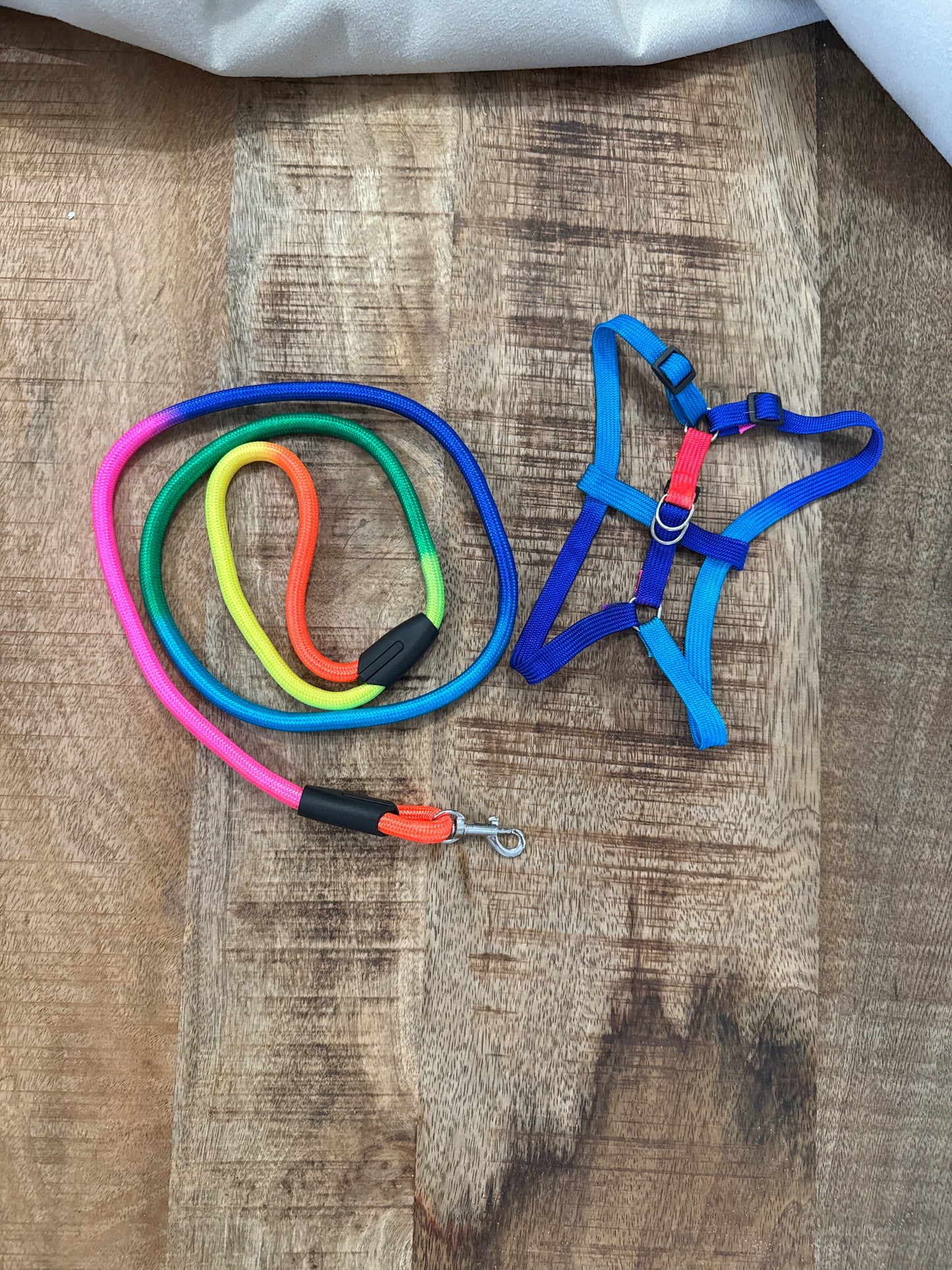 Tuigje met riem regenboog