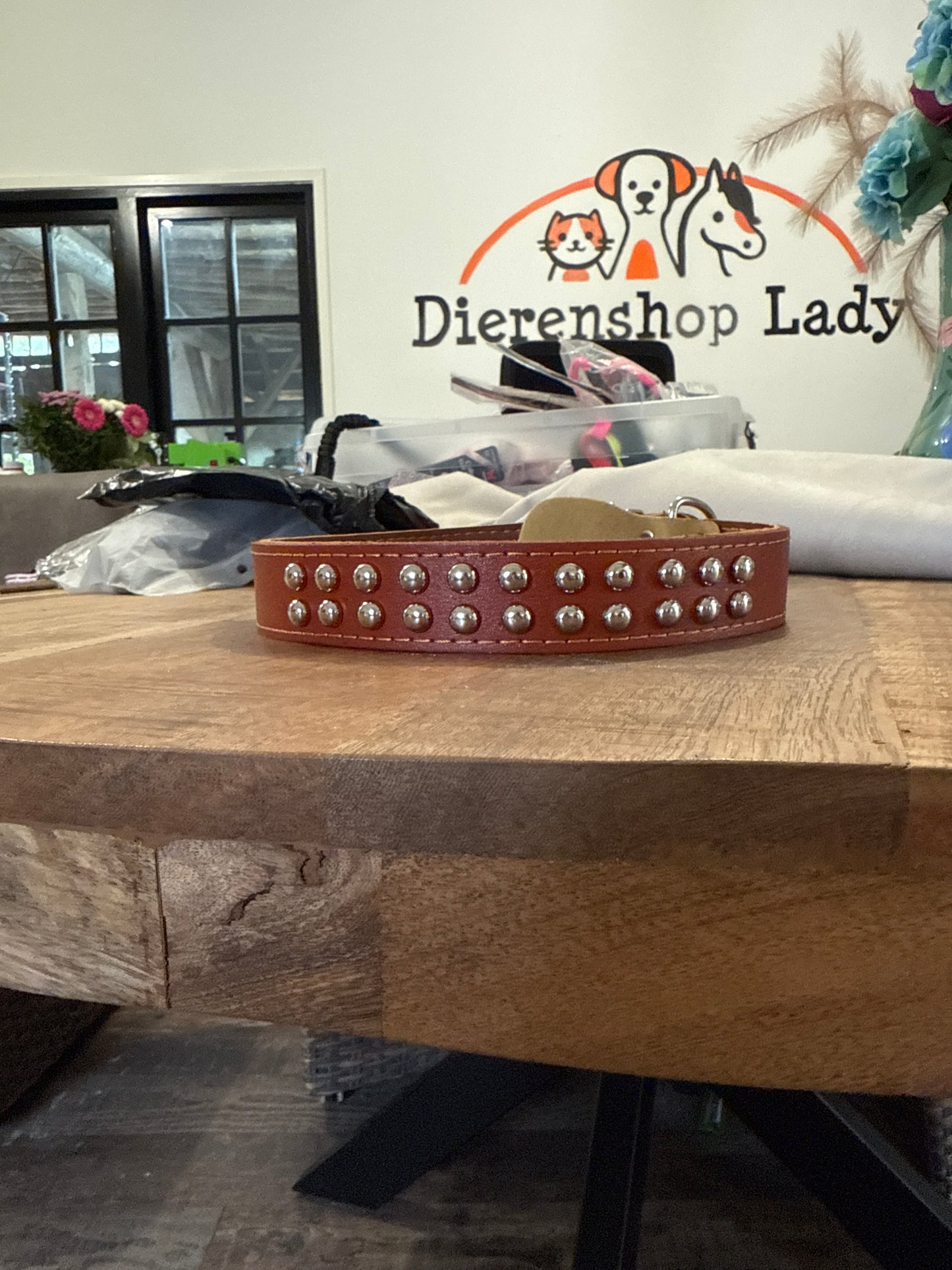 Honden halsband en riem boomer