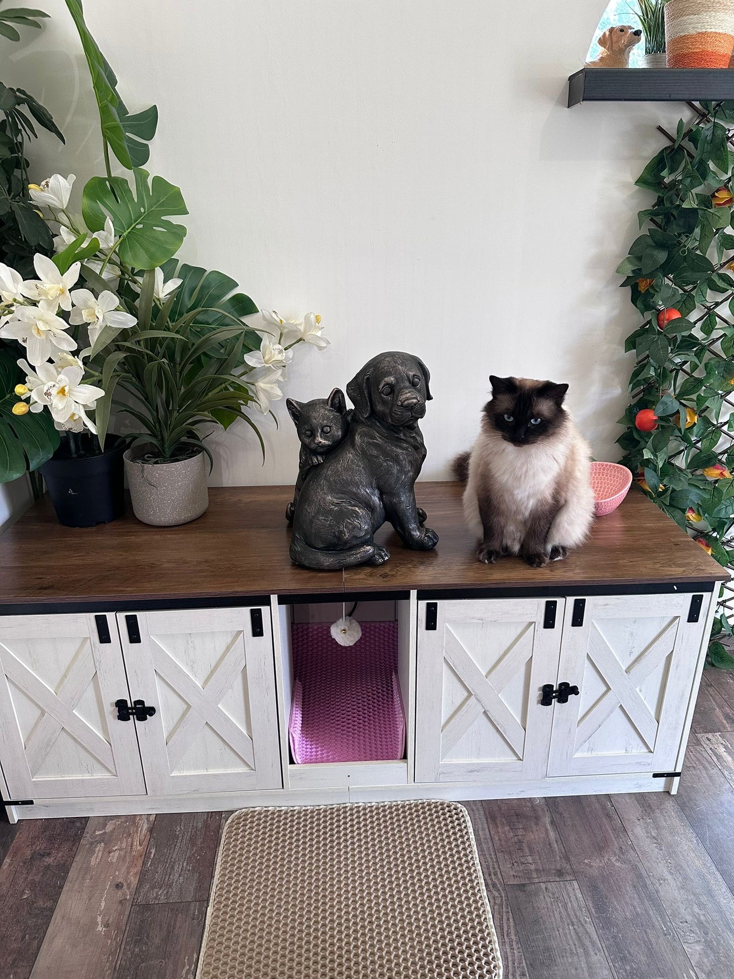 Kattenbak Meubel