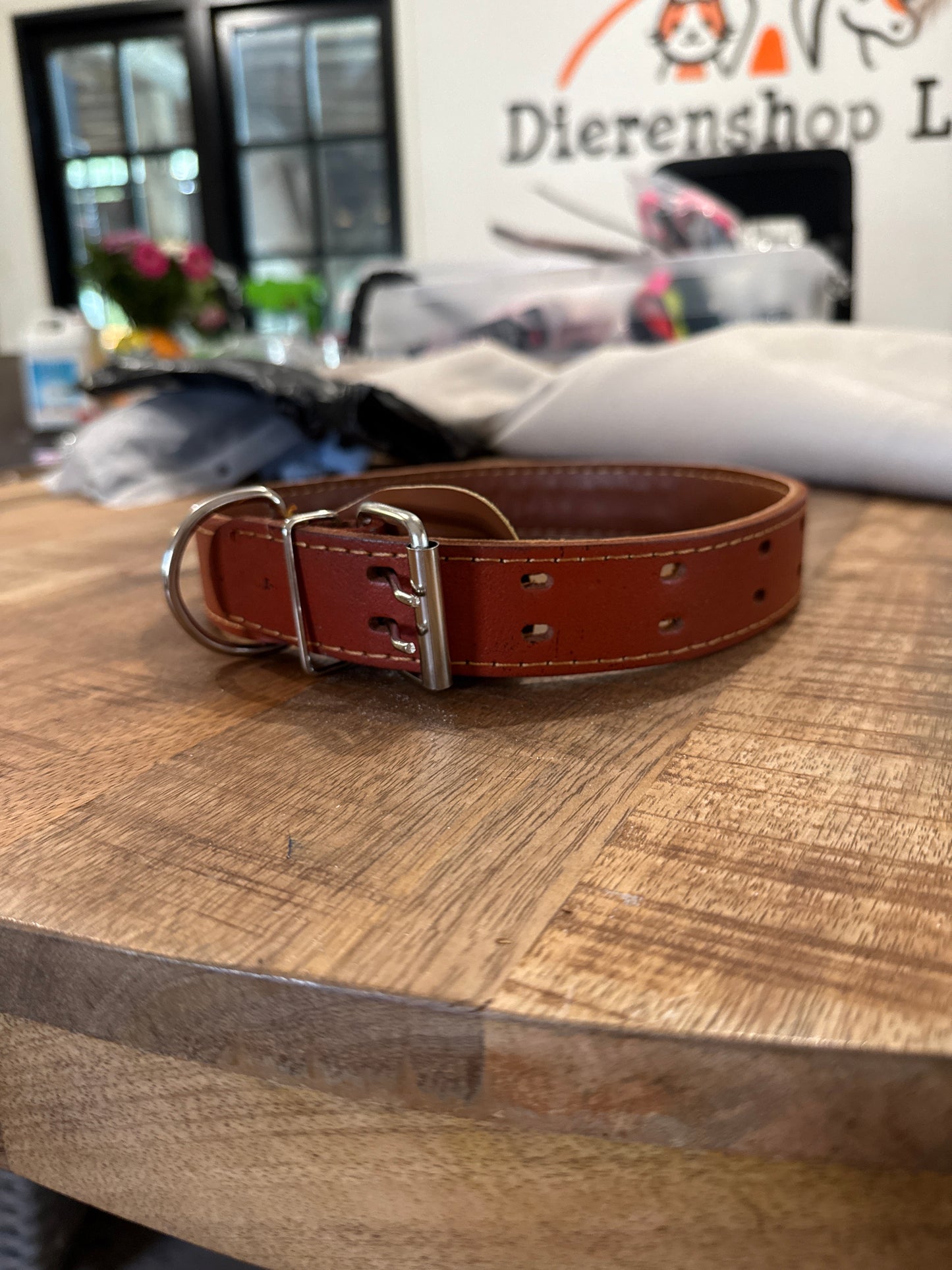 Honden halsband en riem boomer