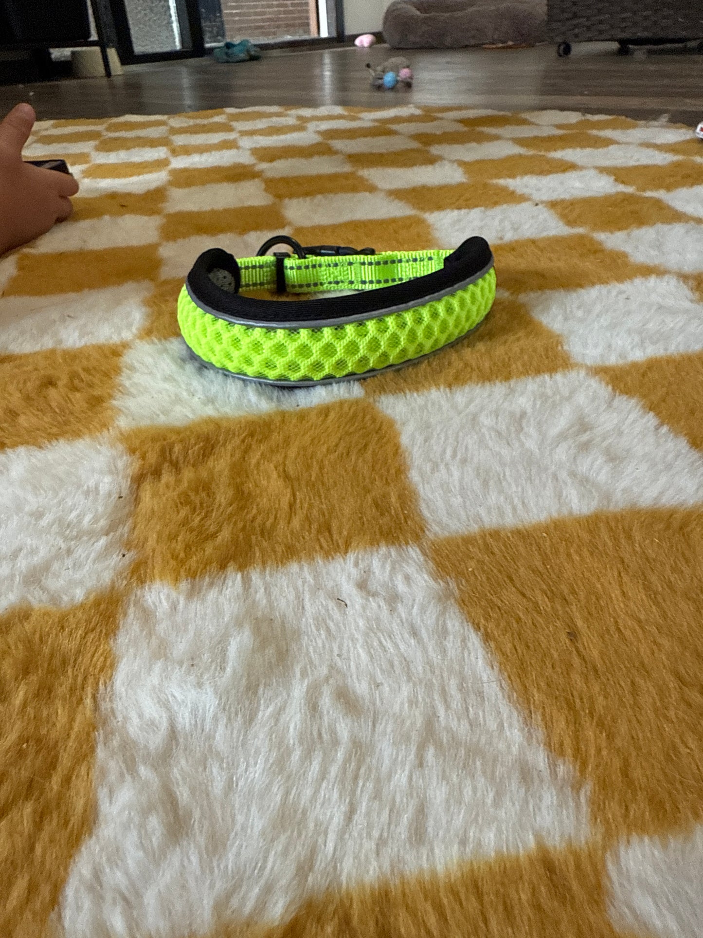 Hondenriem neon