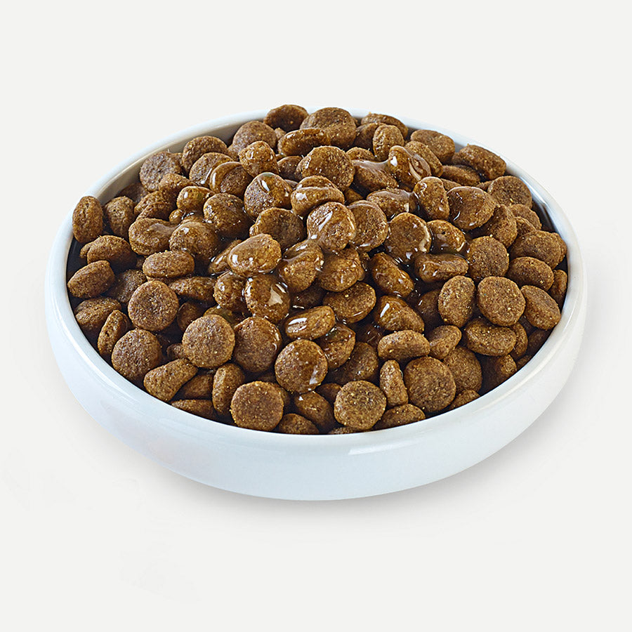 Applaws - Dog Taste Toppers Beef Bone Broth