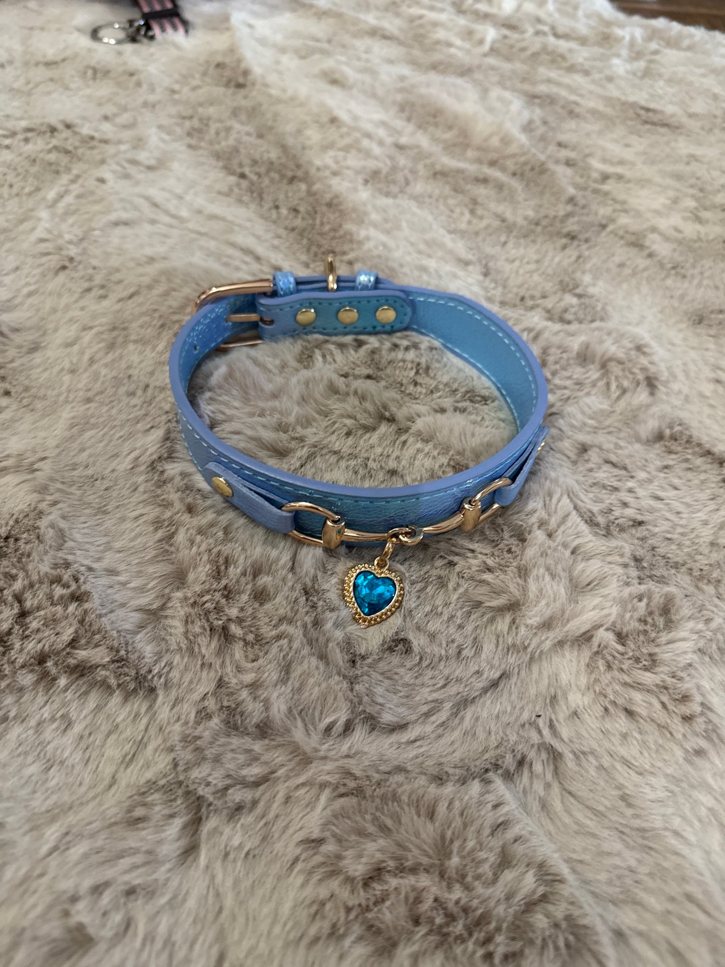 Lola hondenhalsband