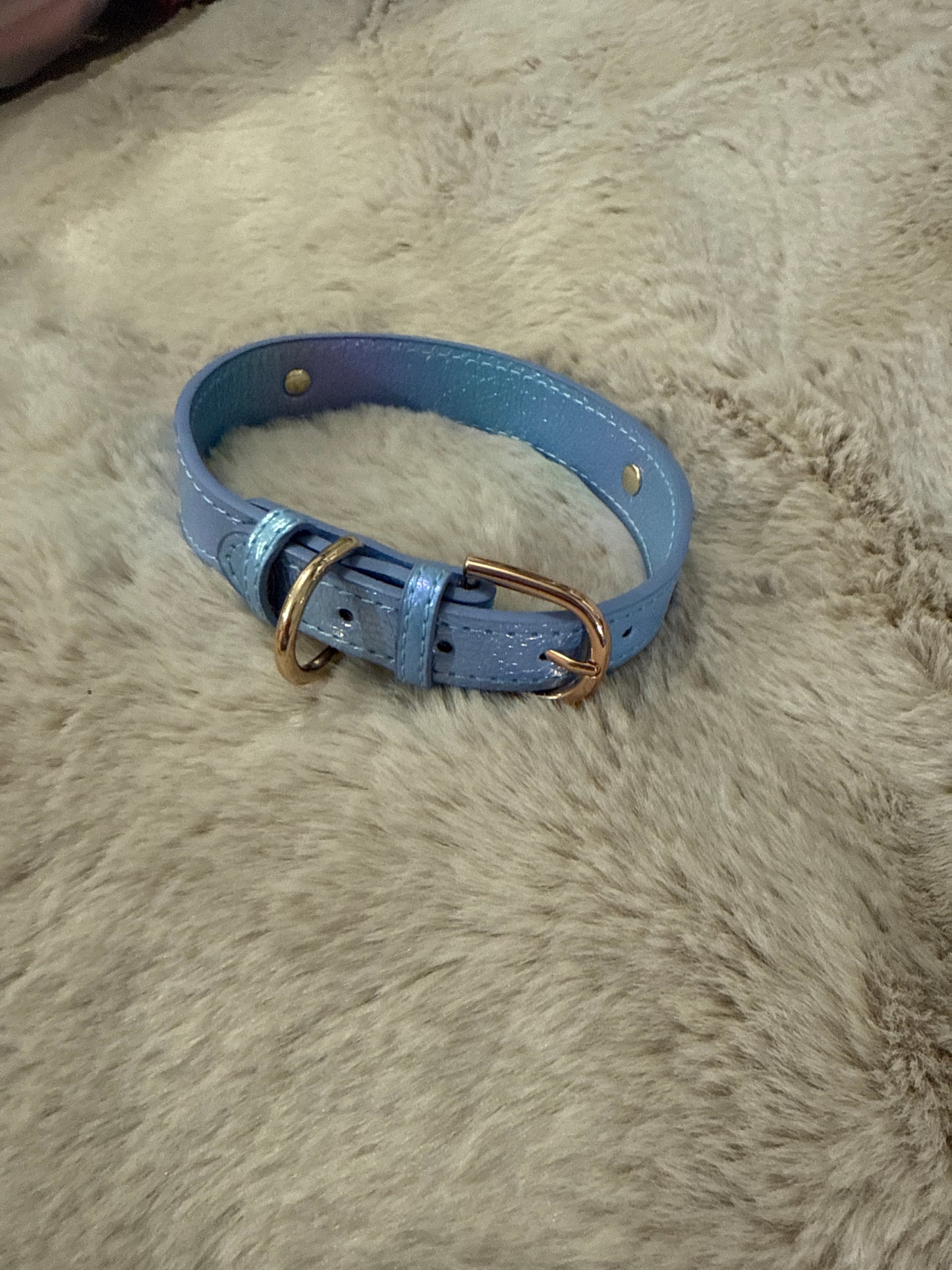 Lola hondenhalsband