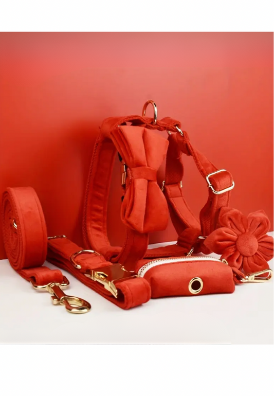 Dierenshop Lady - Hondentuigje set Lovely