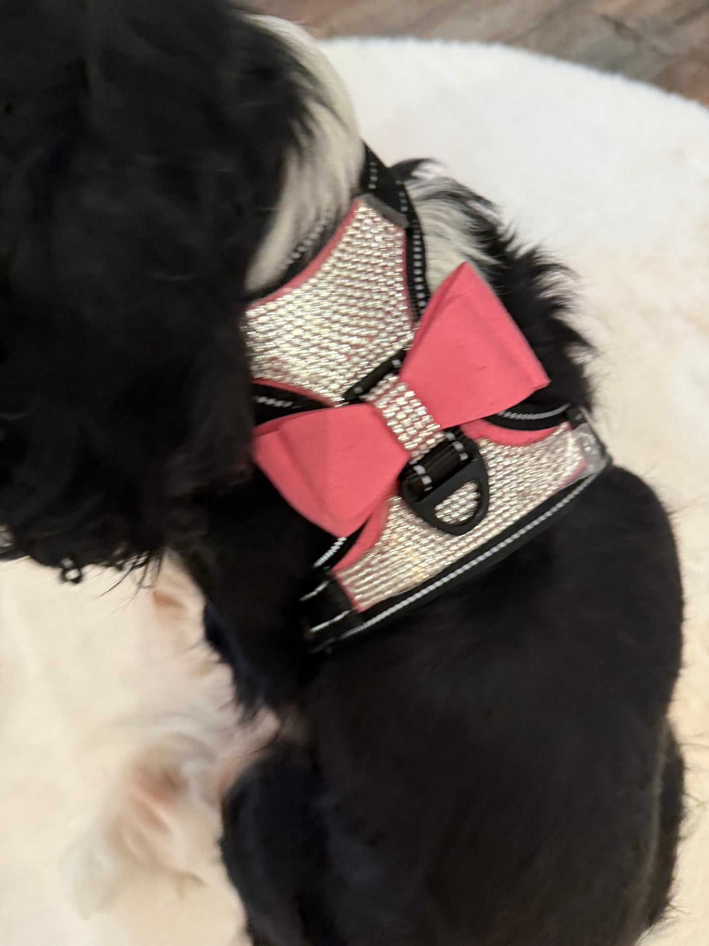 Honden tuigje met strass