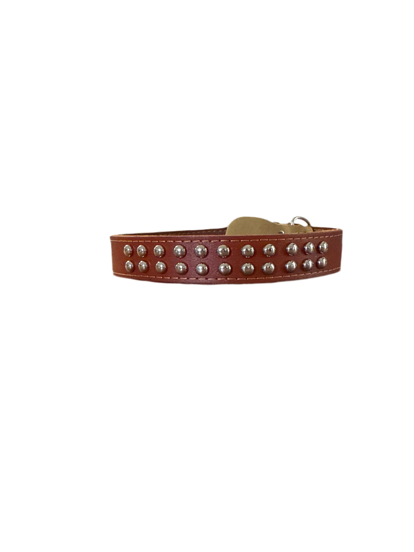 Honden halsband en riem boomer