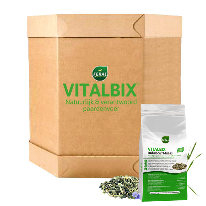 Vitalbix - XL Box Balance+ Muesli