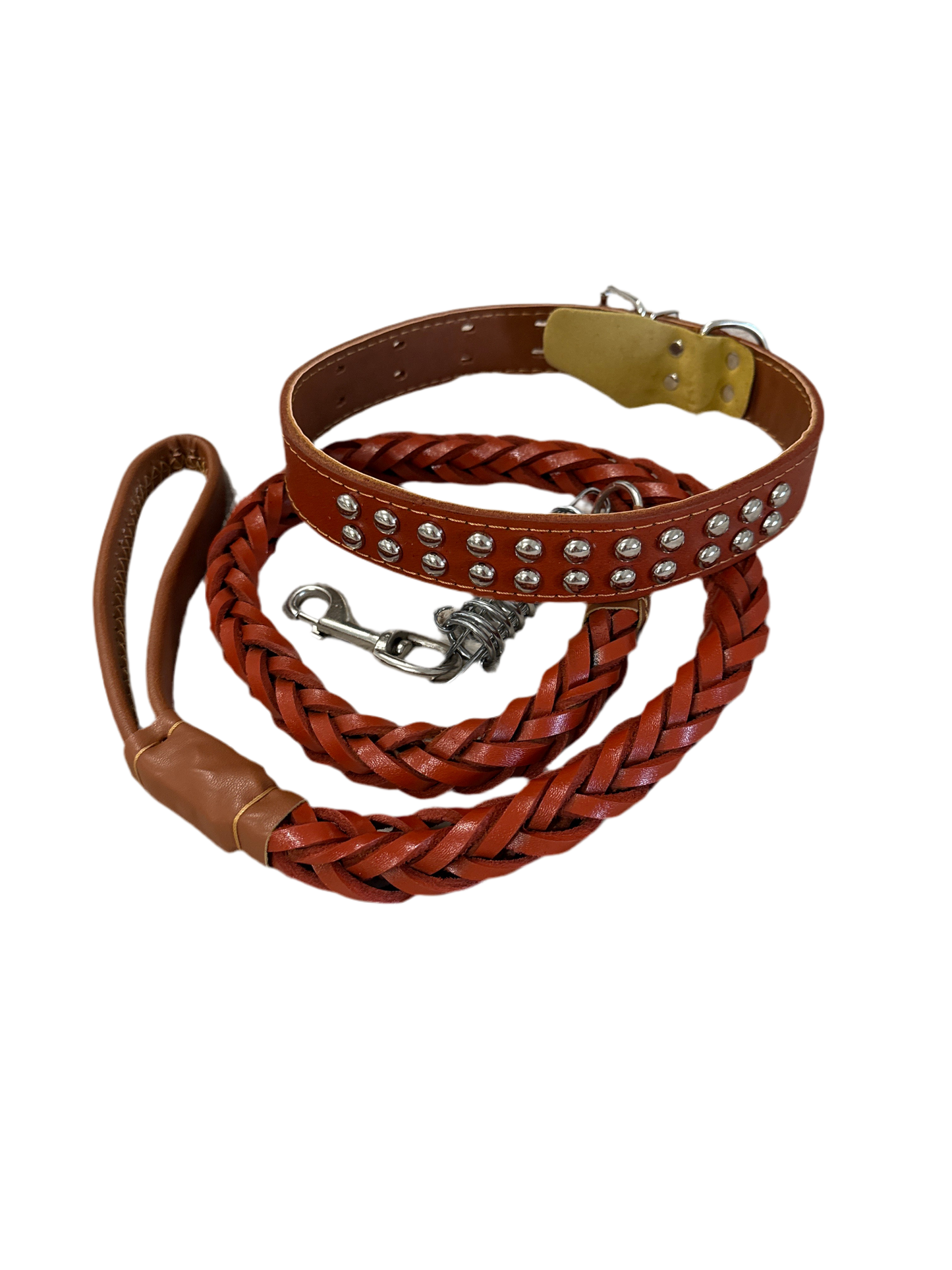 Honden halsband en riem boomer