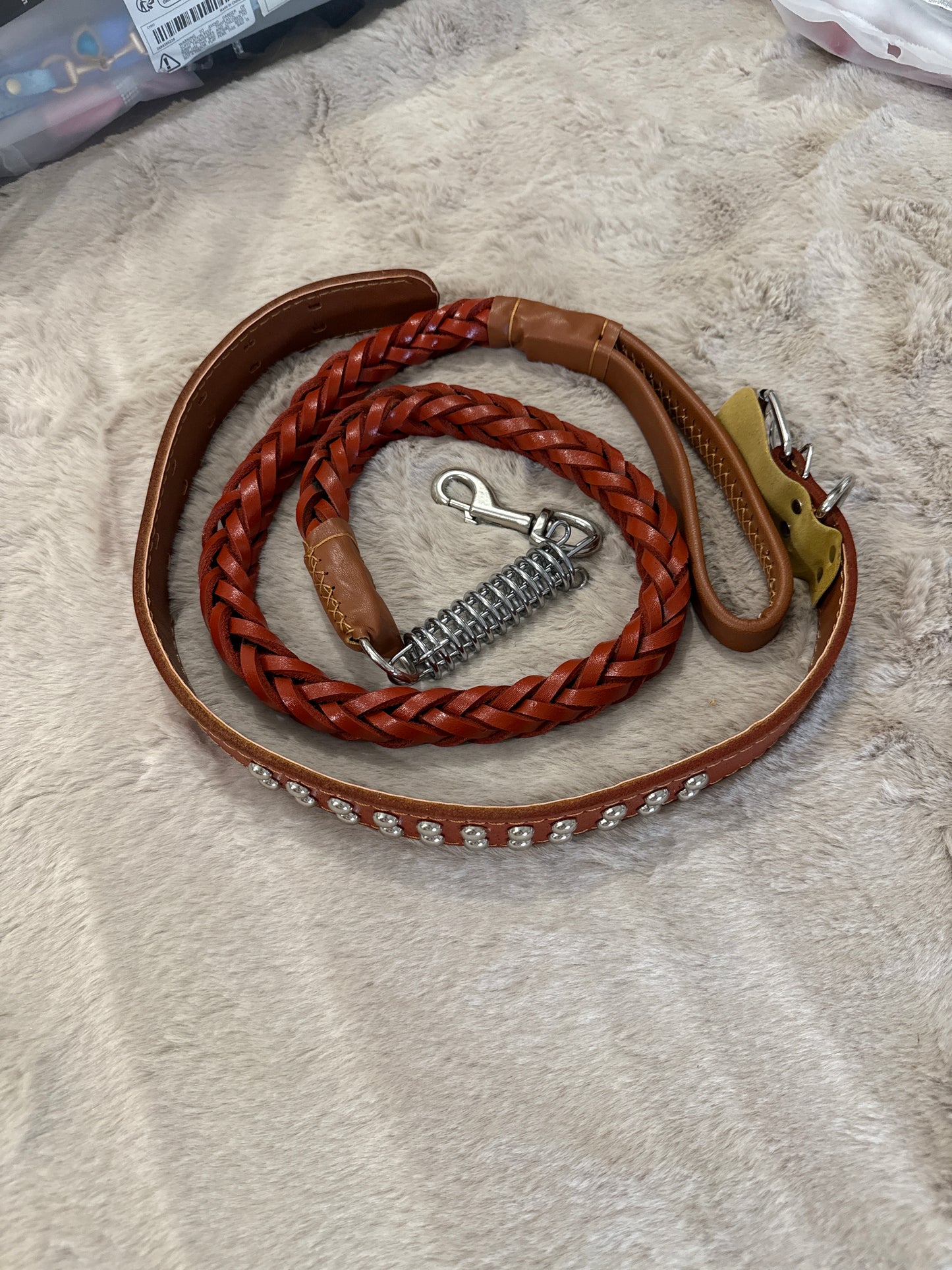 Honden halsband en riem boomer