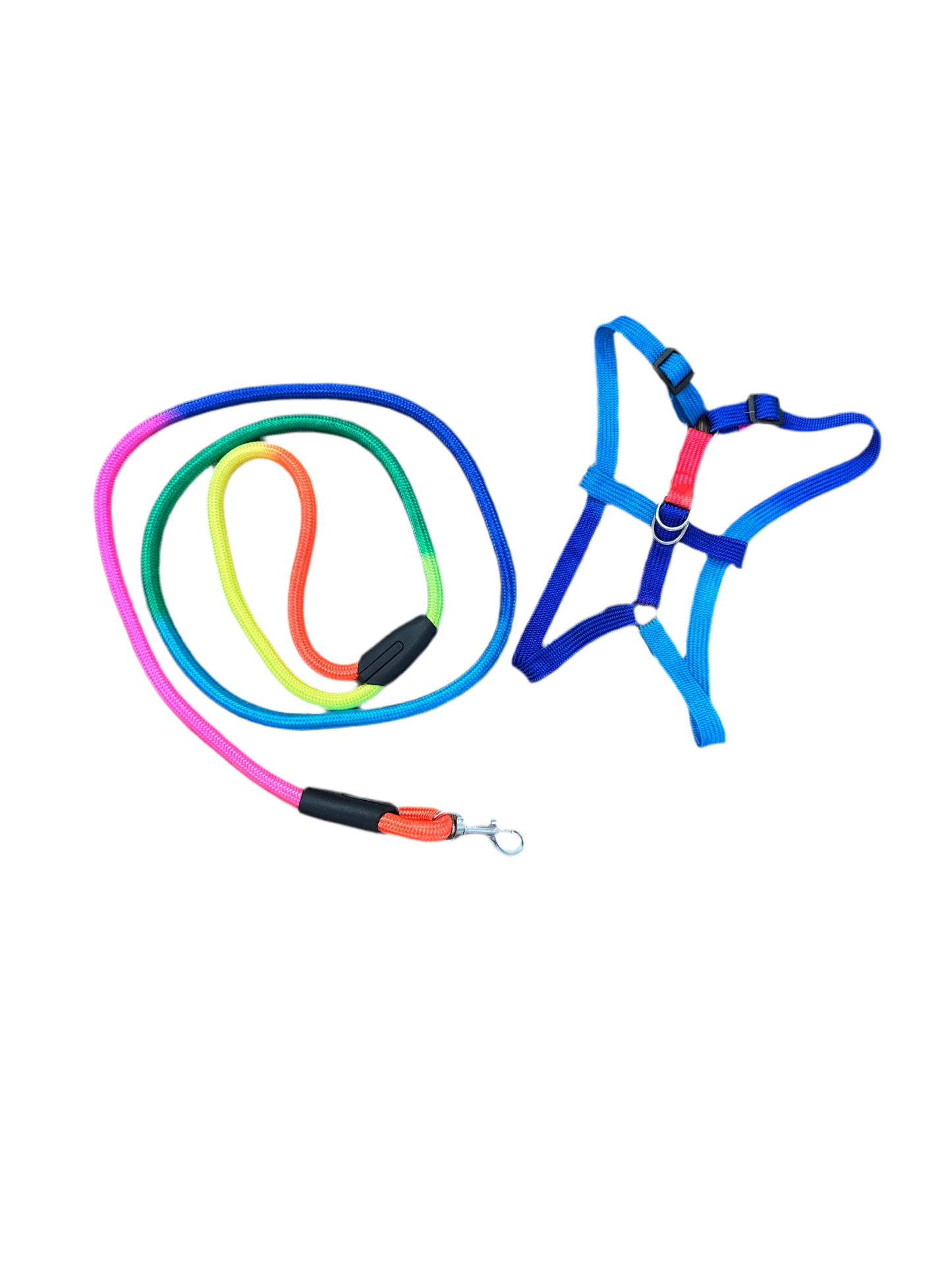 Tuigje met riem regenboog
