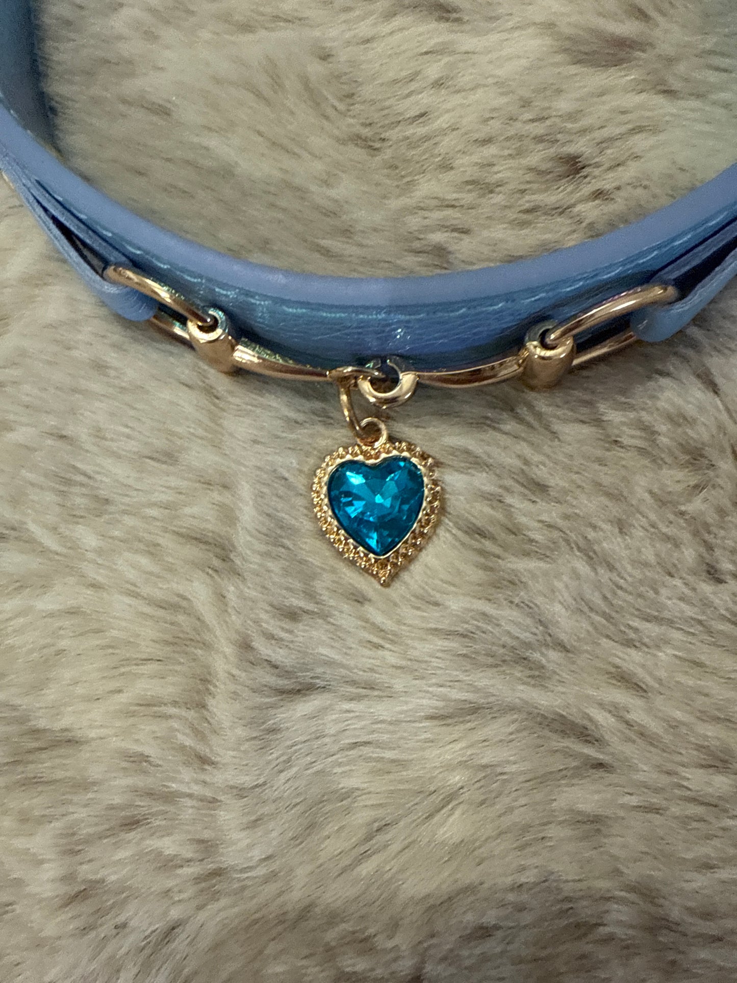 Lola hondenhalsband