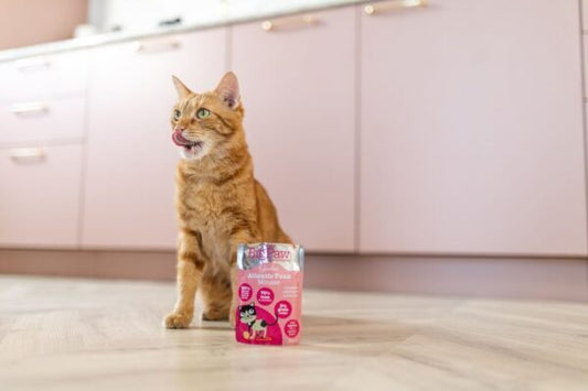 Little Big Paw - Gourmet Tuna Mousse