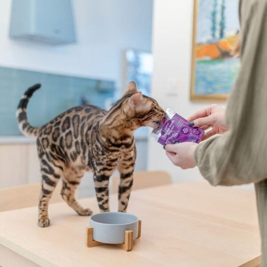 Little Big Paw - Gourmet Duck Mousse