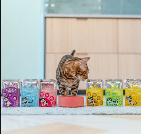 Little Big Paw - Gourmet Multipack Seafood Mousse