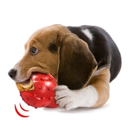 Nylabone Strong Rubber Cone met Baconsmaak