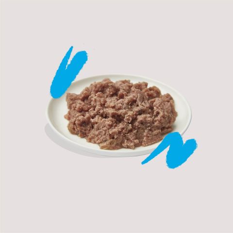 Edgard & Cooper - Organic Salmon and Chicken paté