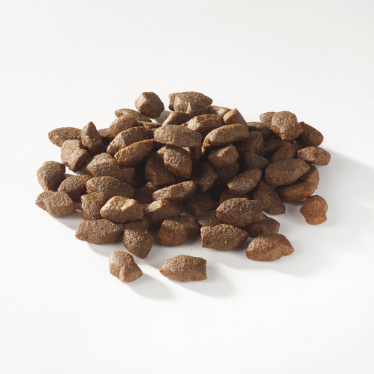 Fish4Dogs - Support+ Puppy Salmon Morsels