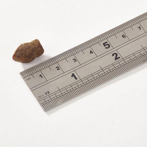 Fish4Dogs - Support+ Puppy White Fish Morsels