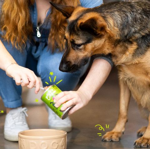 Edgard & Cooper - Lamb & Beef with apple, carrot & beetroot