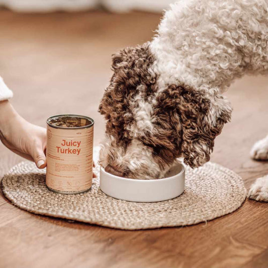 BUDDY - Can Juicy Turkey