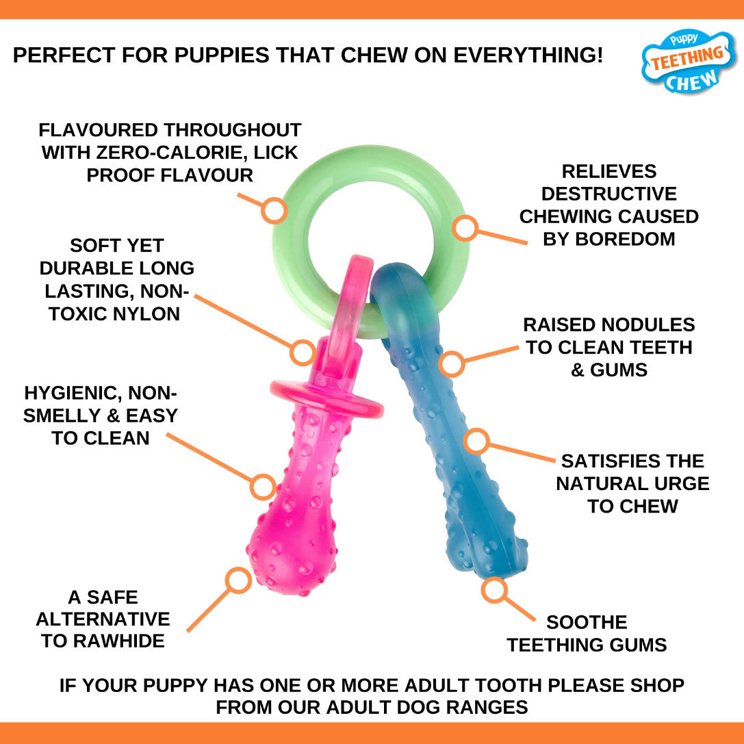 Nylabone Puppy Chew Bijtring Speen/Bot Bacon