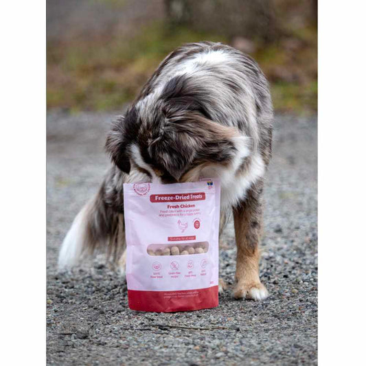 BUDDY - Freeze Dried Treats Chicken