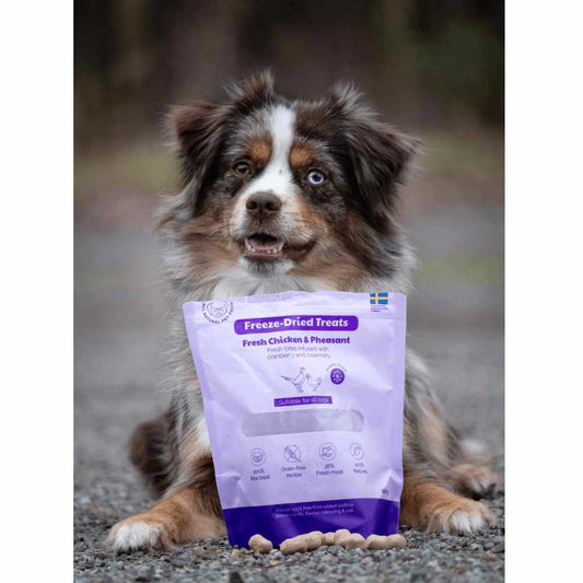 BUDDY - Freeze Dried Treats Chicken & Pheasant