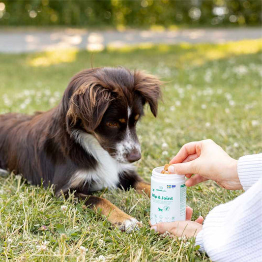 BUDDY - Care Hip & Joint