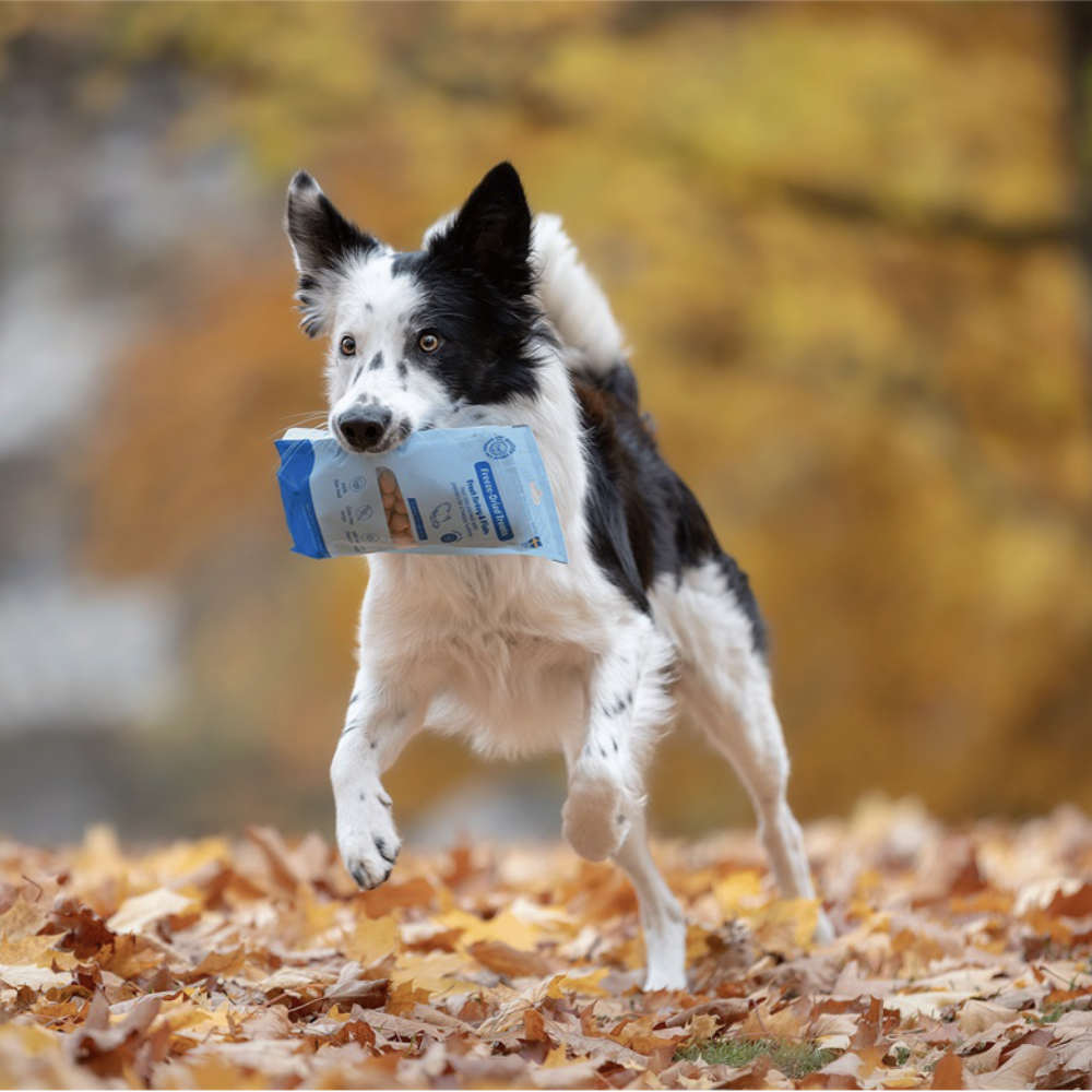 BUDDY - Freeze Dried Treats Turkey & Fish