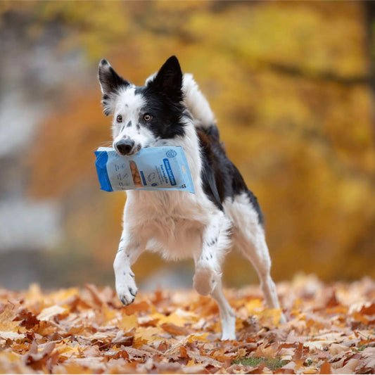BUDDY - Freeze Dried Treats Turkey & Fish