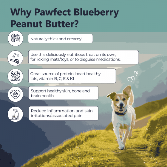 Pawfect - Peanut Butter with Blueberry & Hemp Seeds