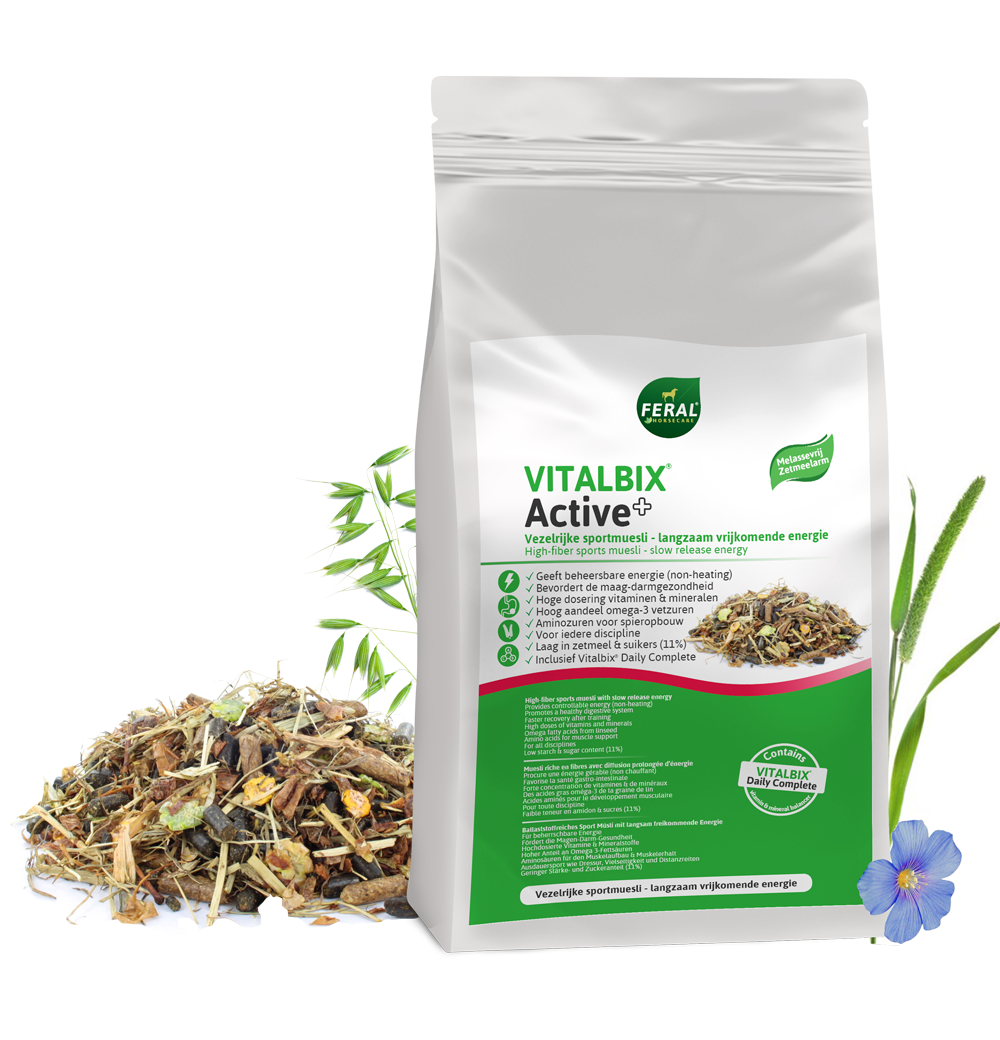 Vitalbix - Active+
