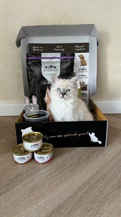 Riverwood - Kittenpakket