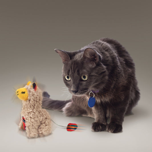 Kong Catnip Softies Buzzy Lama