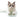 Onze Cattery