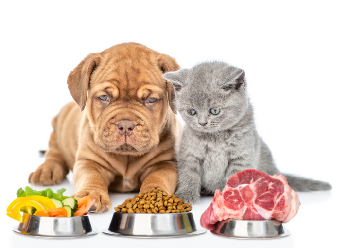 # Graanvrij of met Graan: Wat is Beter voor je Hond of Kat