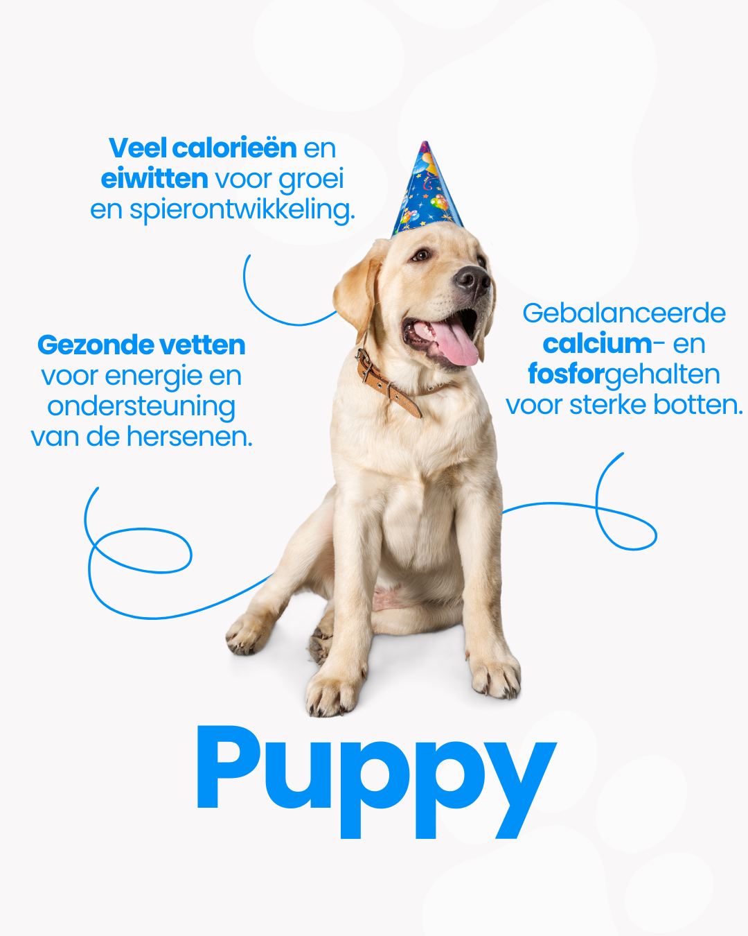 Puppy pakketten
