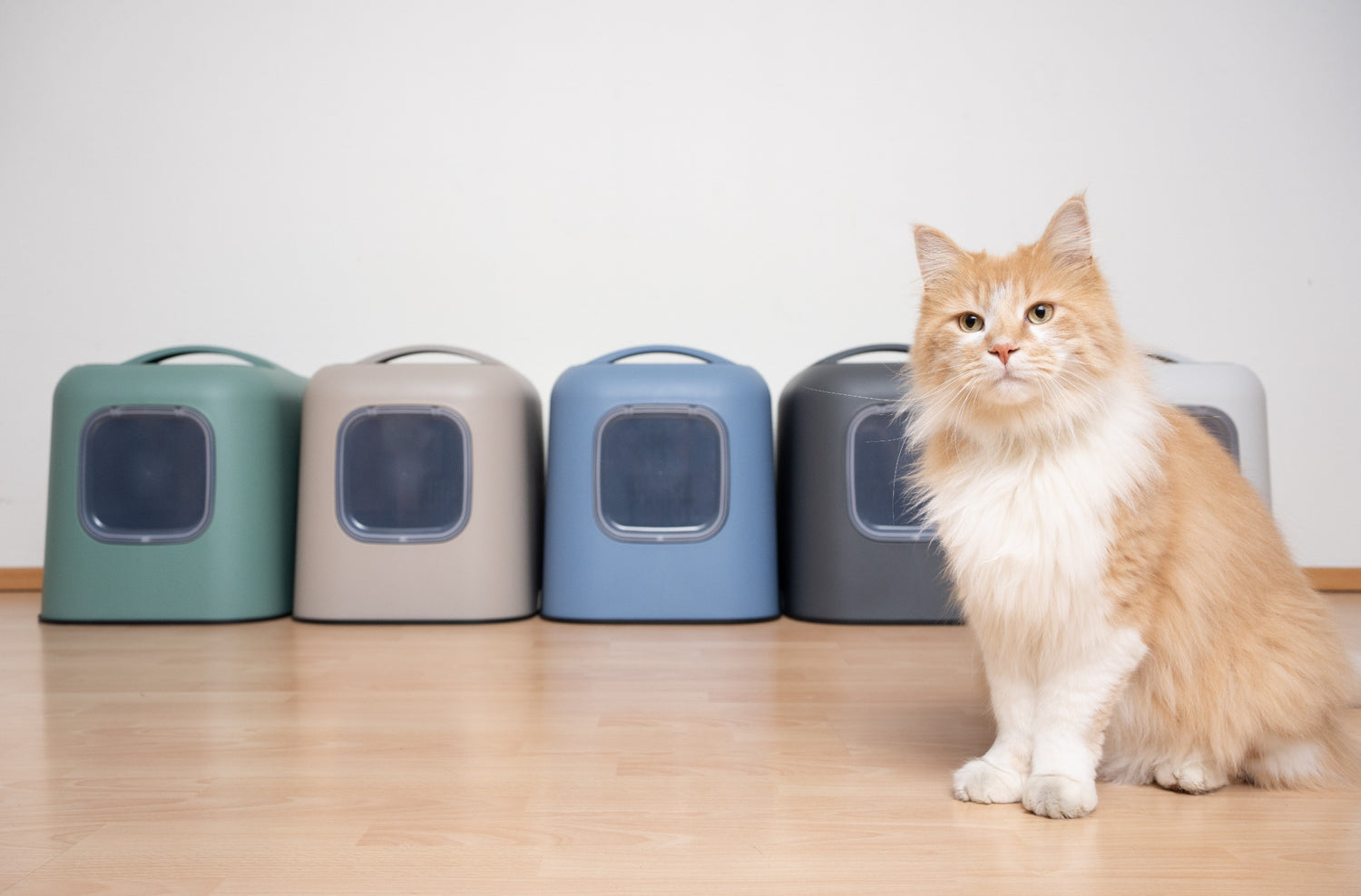Kattenstenen en kattenbakken