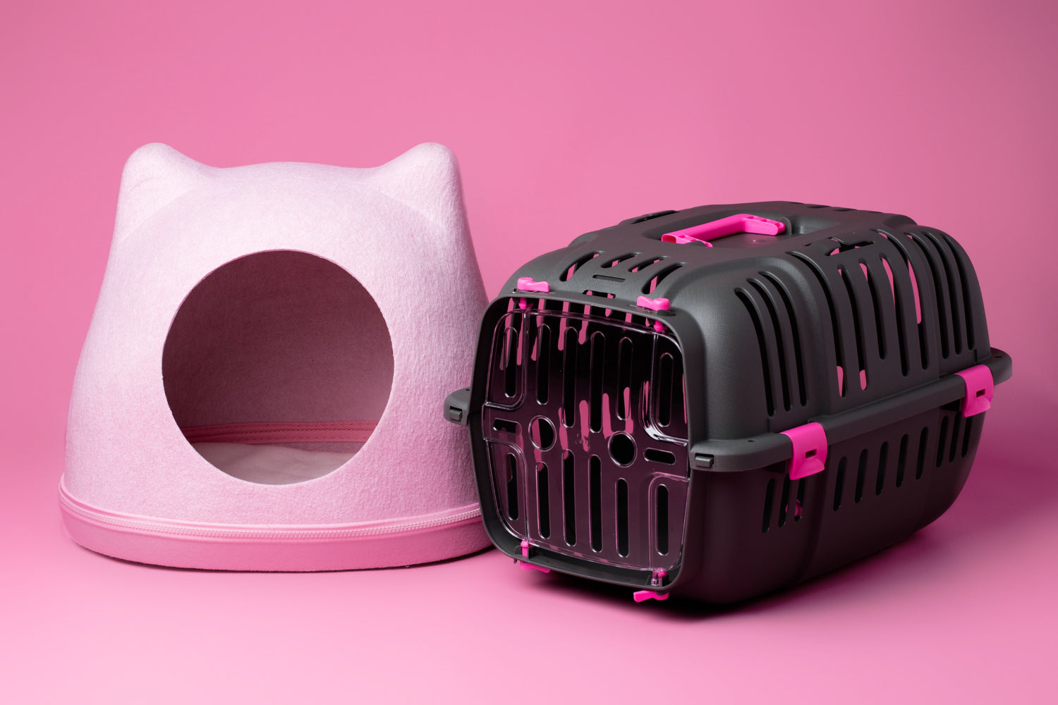 Katten manden en reizen