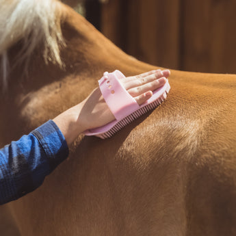 Paarden verzorging