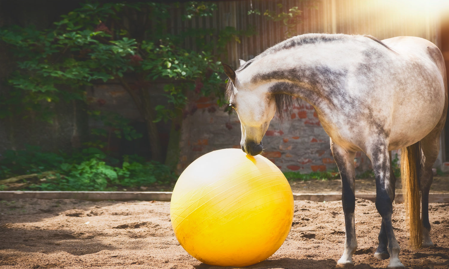 Paarden speelgoed